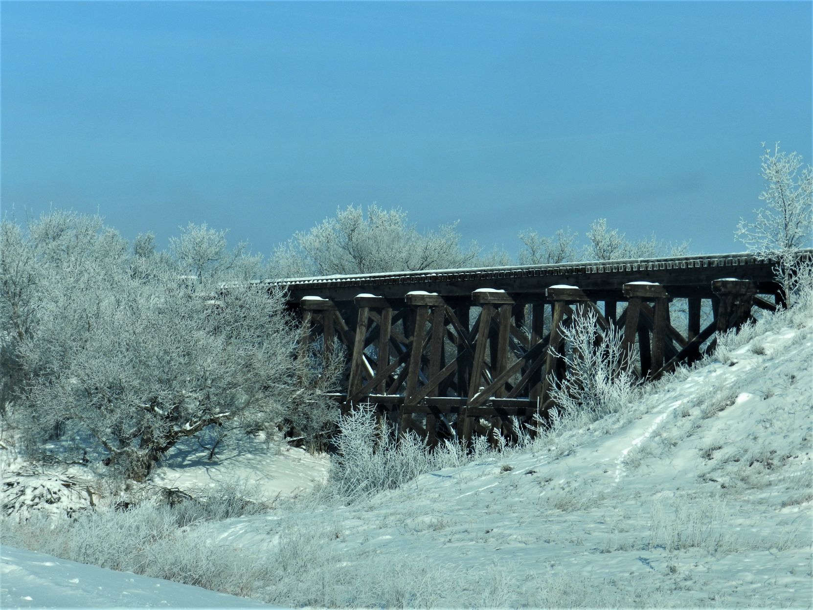 Love that frost!